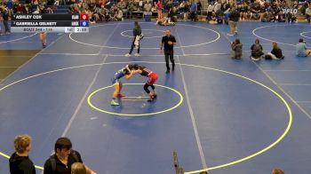 114 lbs Semifinal - Ashley Cox, Clarence vs Gabriella Gelnett, Lockport