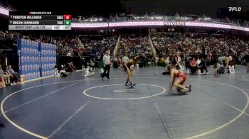 3A 138 lbs Cons. Round 2 - Triston Billings, Central Davidson High School vs Micah Howard, Tuscola