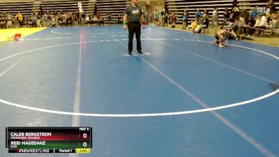 130 lbs Semifinal - Caleb Bergstrom, Mahnomen-Waubun vs Reid Magedanz, EVW