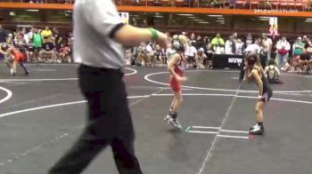 43 lbs Semifinal - Kinley Baldwin, Sturgis Youth Wrestling vs Josiah Nelson, JJ Trained