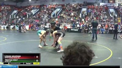 119 lbs Cons. Round 5 - Logan Adleman, Eaton Rapids Youth WC vs Tristan Holt, Romeo WC