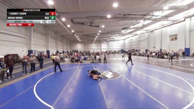 133 lbs Quarterfinal - Corey Cope, Elizabethtown vs Noah Rosa, Wilkes