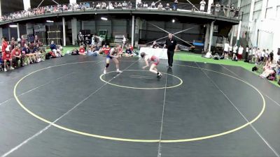 95 lbs Brooklyn Henry, Pennsylvania Blue vs Lillian McHam, Texas Blue