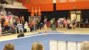 Lizzy LeDuc - Floor, Illinois
