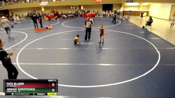 56 lbs Semis & 1st Wrestleback (8 Team) - Tate Blaser, St. Francis vs Akshay Kokotovich, Prior Lake