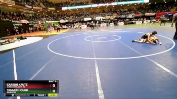 103 lbs Cons. Round 1 - Tanner Hough, Soldotna vs Carson Kautz, Juneau-Douglas HS