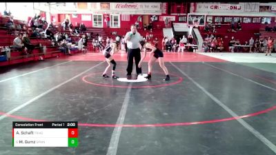 115 lbs Consolation Front - Meredith Gumz, Springfield (H.S.) vs Abigail Schaft, Troy (Triad)