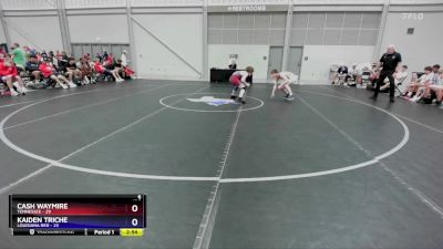 126 lbs Placement Matches (8 Team) - Cash Waymire, Tennessee vs Kaiden Triche, Louisiana Red