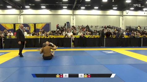 Brandon Michael Pfannenstiel vs Max Damion Diaz 2024 World IBJJF Jiu-Jitsu No-Gi Championship