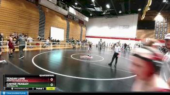 132 lbs Quarterfinal - Teagan Lamb, Riverton Middle School vs Carter Peasley, Greybull MS