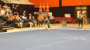 Lizzy LeDuc - Floor, Illinois