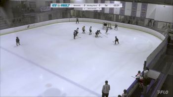 Replay: Home - 2024 Generals PW vs Hockey Farm PW | Apr 6 @ 10 AM