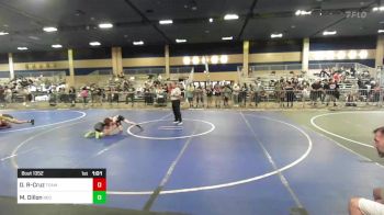 78 lbs Quarterfinal - Declan Rickel-Cruz, Team Aggression vs Michael Dillon, Red Wave WC