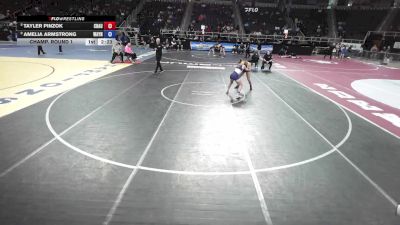 107 lbs Champ. Round 1 - Amelia Armstrong, Wayne vs Tayler Pinzok, Chautauqua Lake