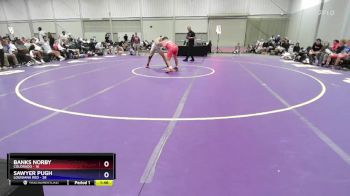 165 lbs Semis & 3rd Wb (16 Team) - Banks Norby, Colorado vs Sawyer Pugh, Louisiana Red