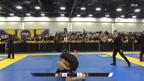 Kevin Michael Lin vs Daniel Nathan Miller 2024 World IBJJF Jiu-Jitsu No-Gi Championship