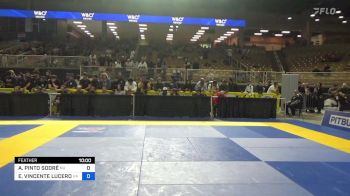 ALEXSSANDRO PINTO SODRÉ vs EDWARD VINCENTE LUCERO JR. 2024 Pan Jiu Jitsu IBJJF Championship