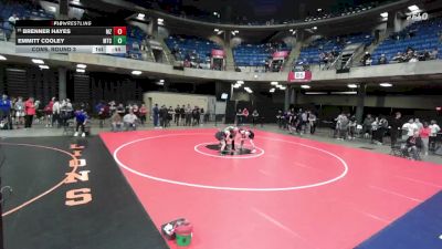138 lbs Cons. Round 3 - Brenner Hayes, Mt. Zion vs Emmitt Cooley, Mt. Carmel