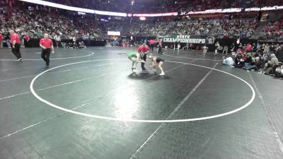 126 lbs Semis - Madilyn Peach, Milton vs Ramsey Brandenburg, Janesville Parker