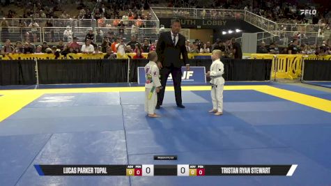 Lucas Parker Topal vs Tristan Ryan Stewart 2025 Pan Kids Jiu-Jitsu IBJJF Championship