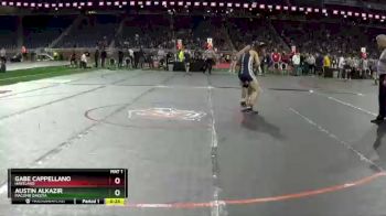 D1-140 lbs Cons. Semi - Austin Alkazir, Macomb Dakota vs Gabe Cappellano, Hartland