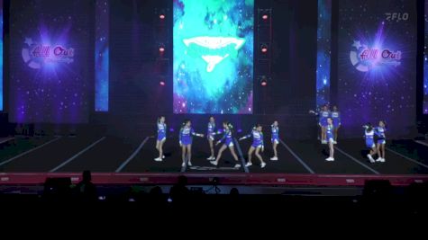 The Stingray Allstars - Tampa - Splash [2024 Level 1 Youth--Small--Div 1 Day 1] 2024 The All Out Grand Nationals