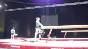 Denisa Golgota (Romania) Training Beam, Training Day 1 - Gymnix 2016