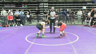 125 lbs Round Of 16 - Giovanni Buscio, Elmwood Park vs Cameron Gibson, Dragon Rtc