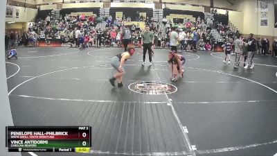 115 lbs Round 1 - Penelope Hall-Philbrick, White Knoll Youth Wrestling vs Vince Antidormi, Carolina Reapers