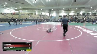 45 lbs Semifinal - Adonis Walle, Iron Knights vs Eli Primm, Wildcats Wrestling