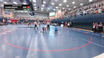 185 lbs Cons. Round 3 - Caliegh Giraldo, Conroe Oak Ridge vs Juliana Lefort, Allen