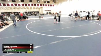 100 lbs Semis & 1st Wrestleback (8 Team) - Amber Kremper, Bemidji, MN vs Chloe Wong, Joliet Township, IL