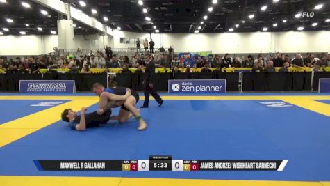 James Andrzej Wiseheart Sarnecki vs Maxwell R Gallahan 2025 World IBJJF Jiu-Jitsu No-Gi Championship