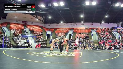 138 lbs Quarterfinals (8 Team) - Beckett Campbell, Hudson Area HS vs Heath Varner, Roscommon HS