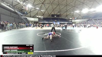 92 lbs Champ. Round 2 - Andre Martinez, Sua Sponte Wrestling Club vs Torben Sommer, Anacortes Hawkeyes Wrestling Club