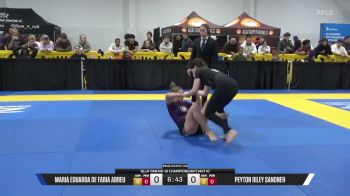 Peyton Riley Sandner vs Maria Eduarda De Faria Abreu 2026 Pan IBJJF Jiu-Jitsu No-Gi Championship