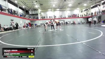 285 lbs Cons. Round 3 - Michael Gibson, Seton Hill vs Ruben Samuelson, Colorado Mesa