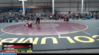 100 lbs Cons. Round 4 - Jax Mescher, All In Wrestling Academy vs Cael Newby, Grace Jr High