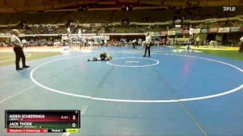 125 lbs Semis & Wb (16 Team) - Aiden Scheeringa, Liberty vs Jack Thode, Centenary University