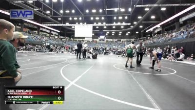 130 lbs Round 4 - Vincent Scheve, Carroll vs Kyle Nance, Brawlers