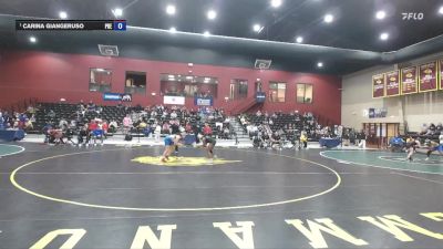 138 lbs Semifinal - Carina Giangeruso, Presbyterian vs Kalyse Hill, Mount Olive