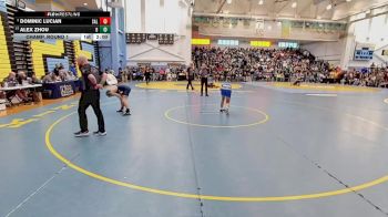 126 lbs Champ. Round 1 - Alex Zhou, Brandywine vs Dominic Lucian, Salesianum