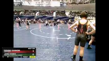 75 lbs Quarterfinal - James Danko, South Hills Wrestling Academy vs Dominic Giannoni, Deep Roots