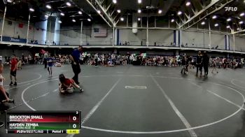 44 lbs Round 8 (10 Team) - Hayden Zemba, U2 Uprising Blue vs Brockton Small, Brawler Elite