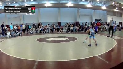 53 lbs Quarterfinal - Harrison Yetzer, Noke Wrestling RTC vs Weston Brewer, Virginia Team Predators