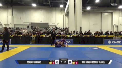 Igor Araujo Rosa De França vs DOMINIC J. MANNO 2025 World IBJJF Jiu-Jitsu No-Gi Championship