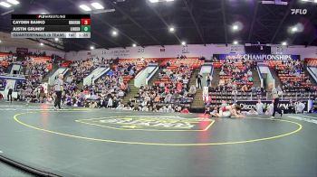 138 lbs Quarterfinals (8 Team) - Cayden Banko, Huron HS (New Boston) vs Justin Grundy, Linden HS