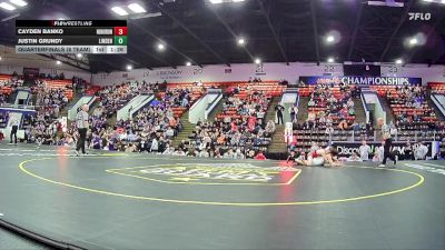 138 lbs Quarterfinals (8 Team) - Cayden Banko, Huron HS (New Boston) vs Justin Grundy, Linden HS