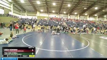 59 lbs Quarterfinal - Treycen O`Dell, Sanderson Wrestling Academy vs Crew Downing, Wyoming Underground Wrestling