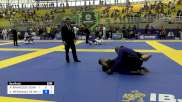 ALEX APARECIDO SOARES vs KITNER MENDONÇA DE MOURA 2024 Brasileiro Jiu-Jitsu IBJJF